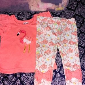Sunshine Baby 6 months Flamingo two-piece set